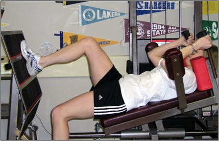 Graft for ACL