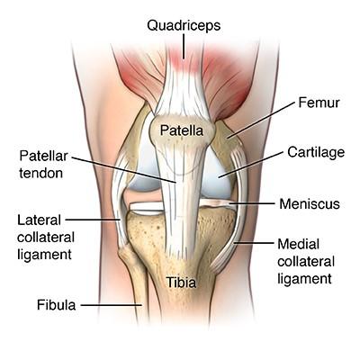 Patellar Tendon Graft Harvest for ACL